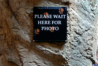 Please Wait Here for Photo sign