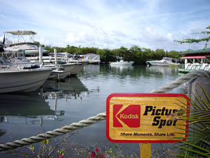 The view from our hotel